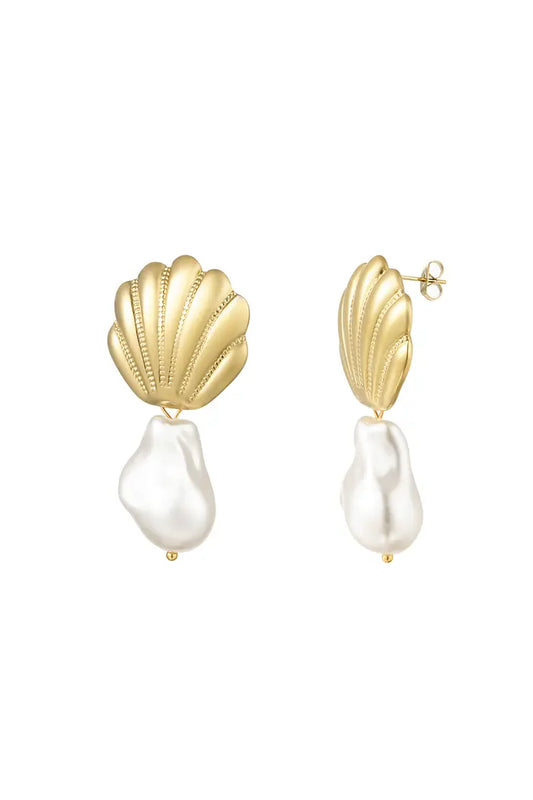 Shell earrings