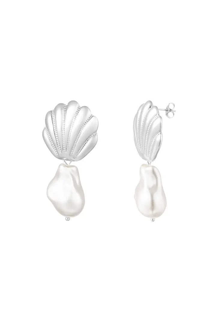 Shell earrings
